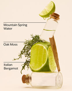 Freshwater Shea Butter Cleansing Bar image number null