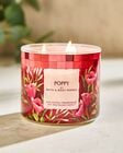 Poppy 3-Wick Candle image number null