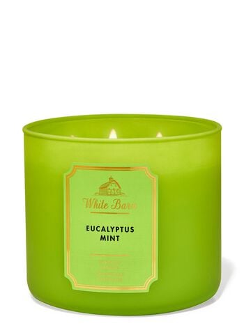 Eucalyptus Mint 3-Wick Candle 三芯蠟燭