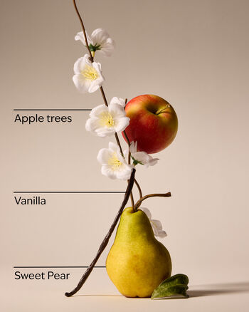 Spring Apple 3-Wick Candle 三芯蠟燭