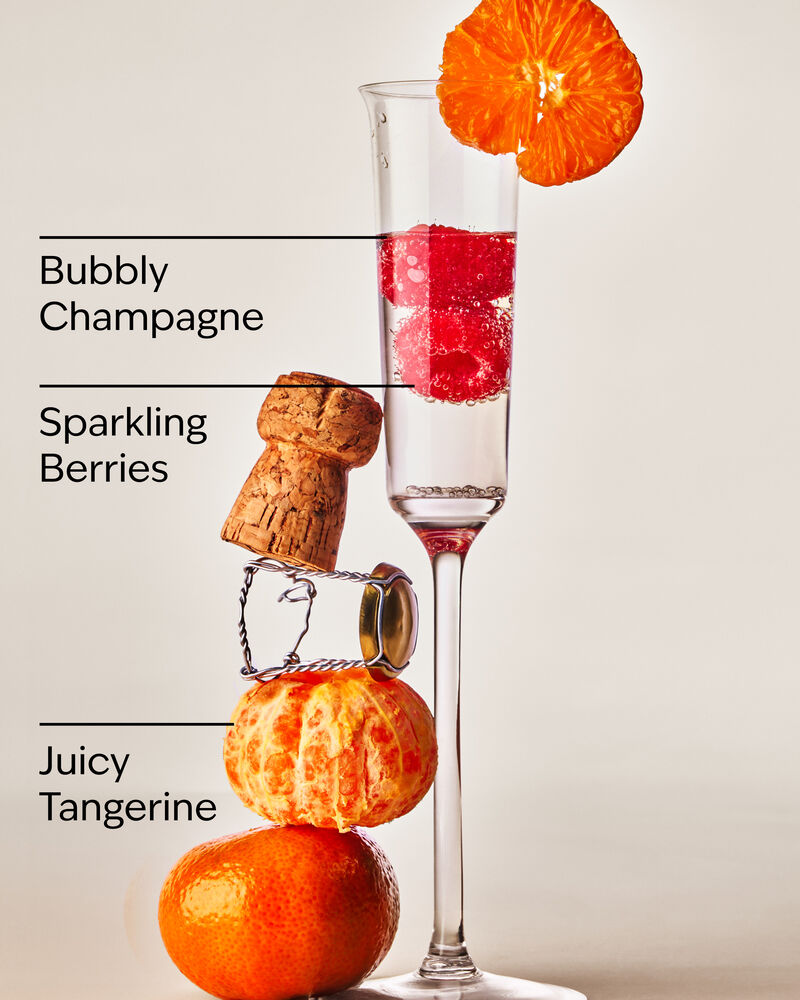 Champagne Toast Lip Scrub 唇部磨砂膏
