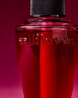 Nocturnal Rose Wallflowers Fragrance Refill image number null