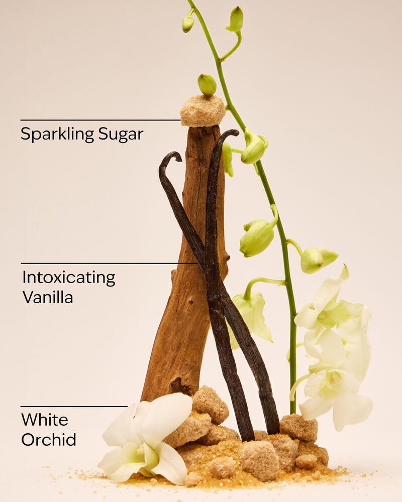 Warm Vanilla Sugar Body Lotion Body Lotion