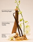 Warm Vanilla Sugar Body Lotion image number null