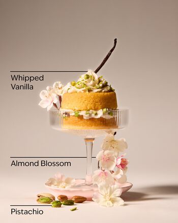 Toasted Pistachio Travel Size Fine Fragrance Mist 旅行裝香氛噴霧