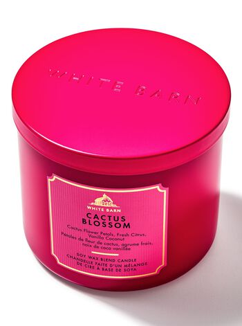 Cactus Blossom 3-Wick Candle 三芯蠟燭