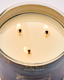 Mountainside Wildflower 3-Wick Candle image number null