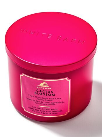 Cactus Blossom 3-Wick Candle 三芯蠟燭