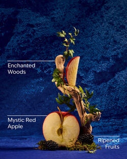 Snow White Lip Gloss image number null