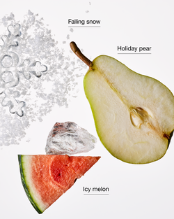 Fresh Sparkling Snow PocketBac Hand Sanitizer