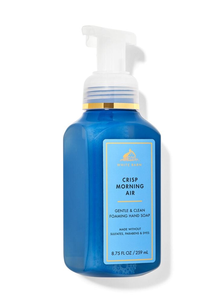 Crisp Morning Air Gentle & Clean Foaming Hand Soap 溫和泡泡潔手液