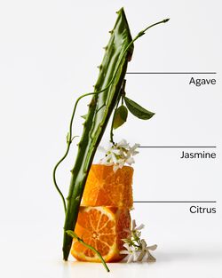Sweet Orange & Agave 3-Wick Candle image number null