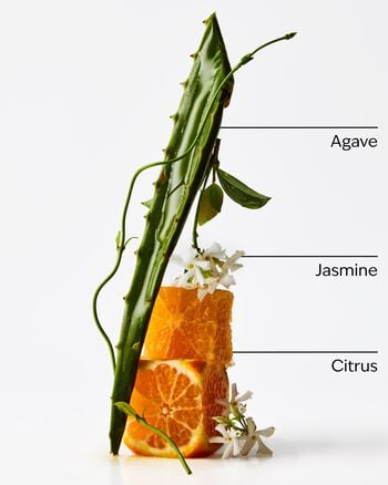 Sweet Orange & Agave 3-Wick Candle 三芯蠟燭