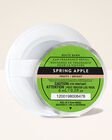 Spring Apple Car Fragrance Refill image number null