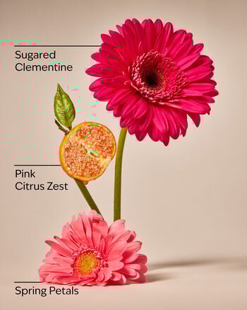 Pink Clementine Cleansing Gel Hand Soap 凝膠洗手液