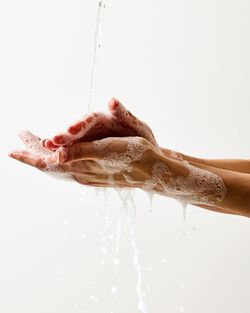 Afternoon Apple Picking Gentle & Clean Foaming Hand Soap image number null