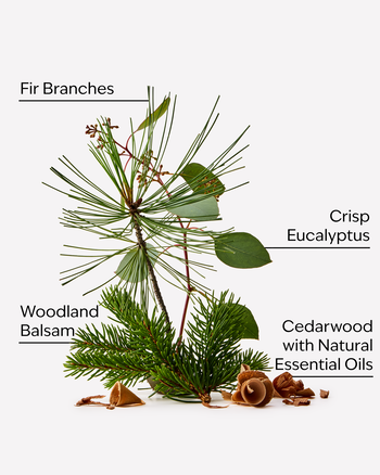 Fresh Balsam PocketBac Hand Sanitizer PocketBac Hand Sanitizer