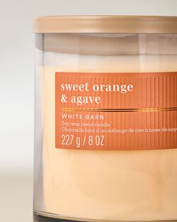 Sweet Orange & Agave Single Wick Candle image number null