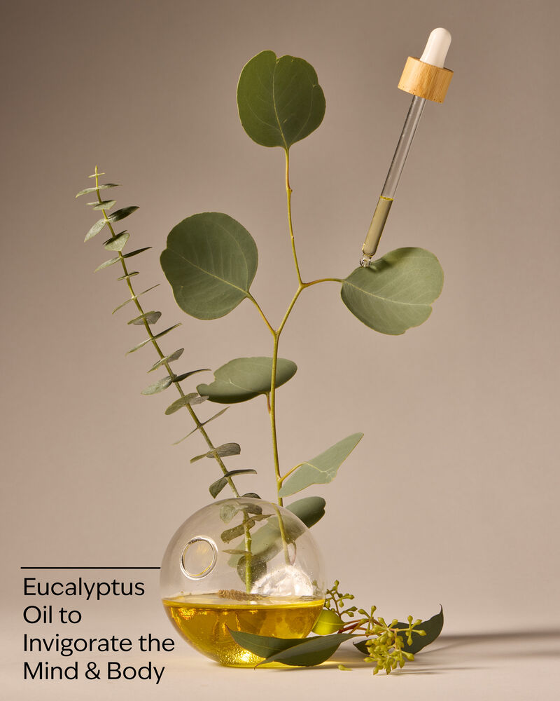 Eucalyptus Body Lotion 潤膚露