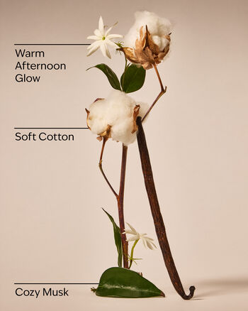 Cat Nap Wallflowers Fragrance Refill 香氛補充液