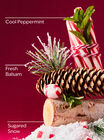 Twisted Peppermint PocketBac Cleansing Hand Gel image number null
