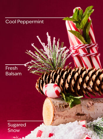 Twisted Peppermint PocketBac Cleansing Hand Gel 溫和凝膠洗手液