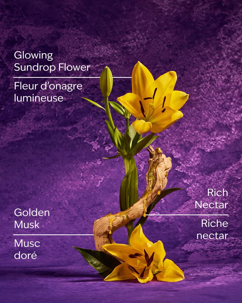 Rapunzel Ultimate Hydration Body Cream 極緻保濕身體乳霜