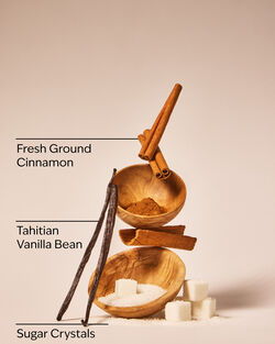 Cinnamon Spiced Vanilla Cleansing Gel Hand Soap image number null