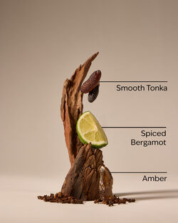 After Dark Body Spray image number null