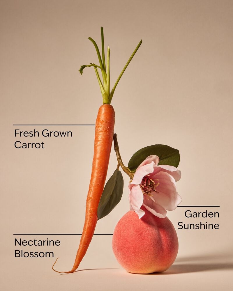 Carrot & Nectarine 3-Wick Candle 三芯蠟燭