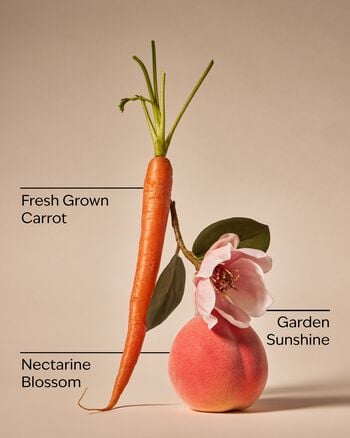 Carrot & Nectarine 3-Wick Candle 三芯蠟燭