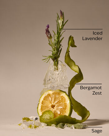 To The Moon Ultimate Hydration Body Cream 極緻保濕身體乳霜