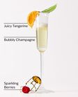 Champagne Toast Lip Oil image number null