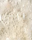 Triple-Berry Burst Revitalizing Gel Hand Soap image number null