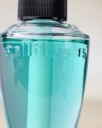 Sea Salt & Driftwood Wallflowers Fragrance Refill 香氛補充液