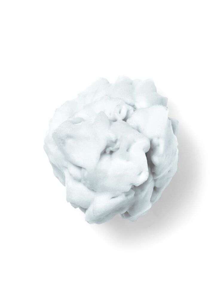 Vanilla Bean Noel Shapeable Soap 可塑性肥皂泡