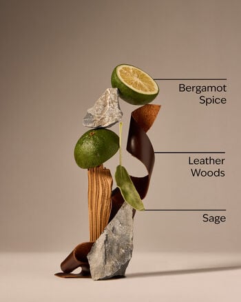 Graphite Body Wash Body Wash