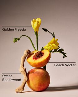 Peach Blossom & Nectar Mini Eau de Parfum image number null