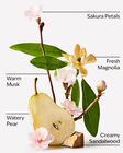 Forever Cherry Blossom Body Wash image number null