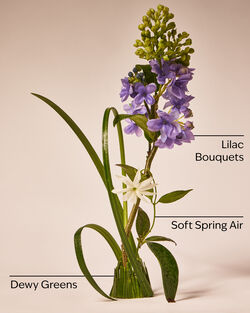 Fresh Cut Lilacs Single Wick Candle image number null