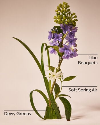 Fresh Cut Lilacs Single Wick Candle 單芯蠟燭