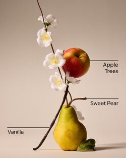 Spring Apple Car Fragrance Refill image number null