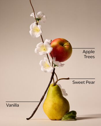 Spring Apple Car Fragrance Refill 汽車香氛補充液