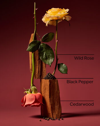 Nocturnal Rose Body Spray 身體噴霧