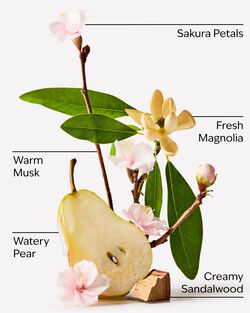 Forever Cherry Blossom Ultimate Hydration Body Cream image number null