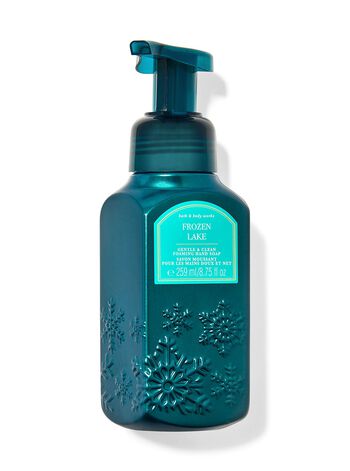 Frozen Lake Gentle & Clean Foaming Hand Soap 溫和泡泡潔手液