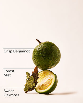 A Quiet Escape Wallflowers Fragrance Refill 香氛補充液