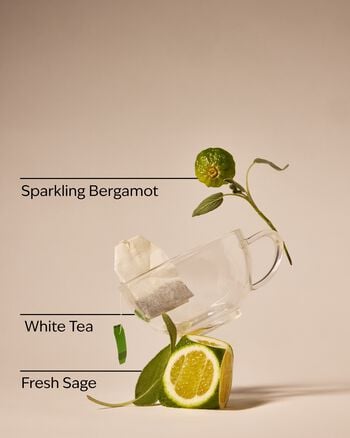 White Tea & Sage Cleansing Gel Hand Soap 凝膠洗手液