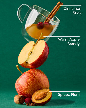 Spiced Apple Toddy Wallflowers Fragrance Refill 香氛補充液