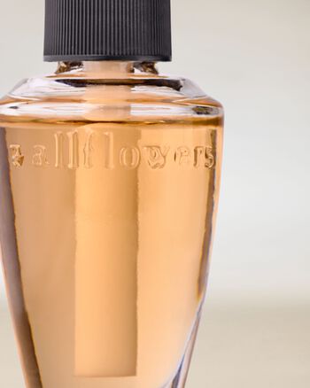 Fiji White Sands Wallflowers Fragrance Refill 香氛補充液